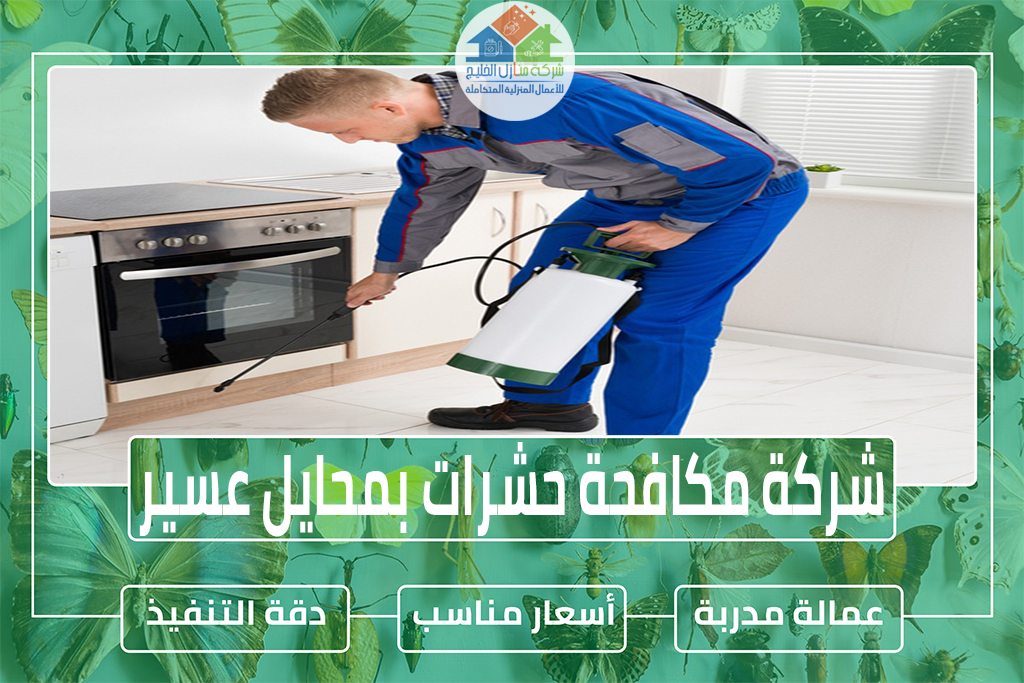 شركة مكافحة حشرات بمحايل عسير