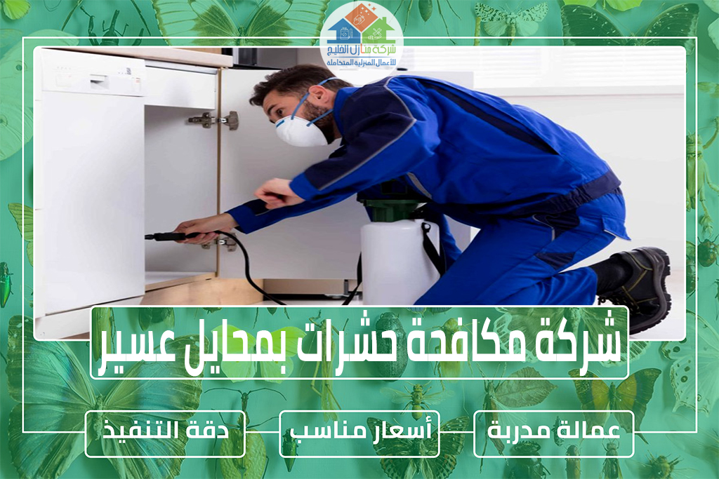 شركة مكافحة حشرات بمحايل عسير