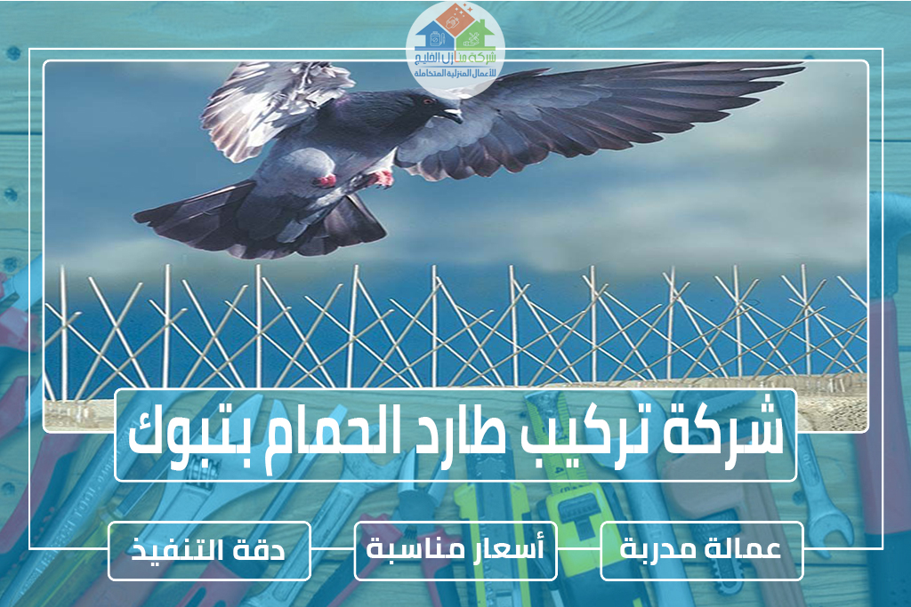 شركة تركيب طارد الحمام بتبوك » الإعلان للإيجار » شركة منازل الخليج
