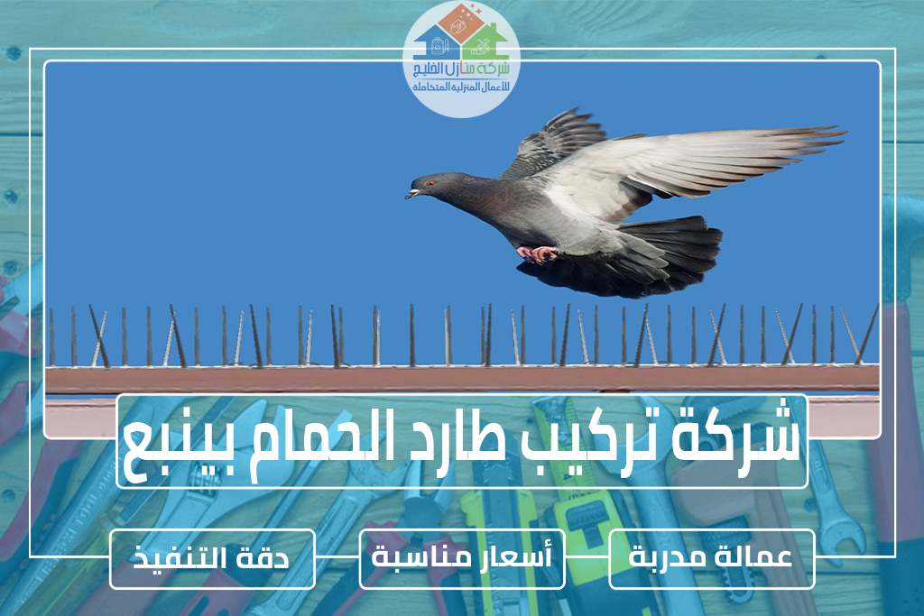 شركة تركيب طارد الحمام بينبع