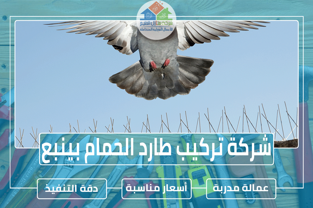 شركة تركيب طارد الحمام بينبع