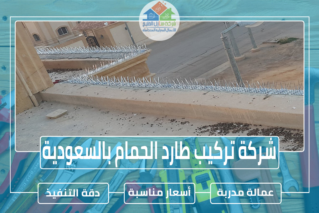 شركة تركيب طارد الحمام بالسعودية » شركة منازل الخليج