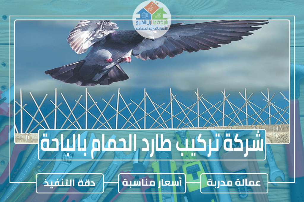 شركة تركيب طارد الحمام بالباحة
