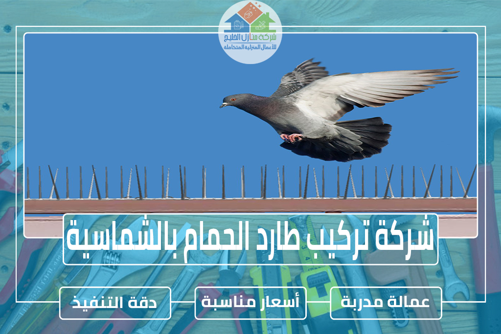 شركة تركيب طارد الحمام بالشماسية 