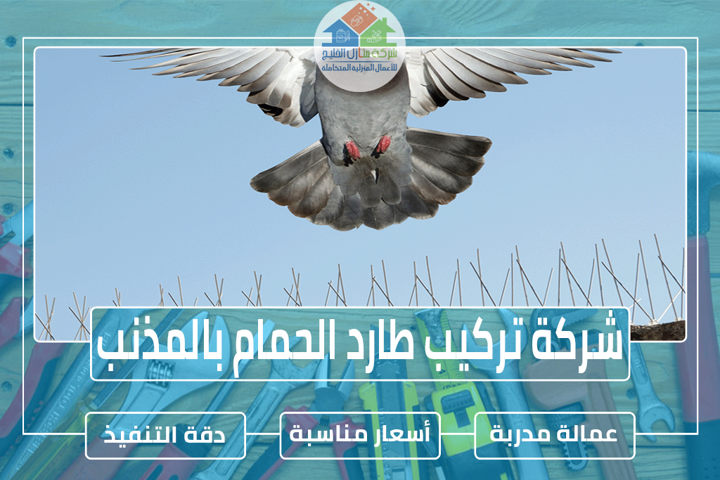 شركة تركيب طارد الحمام بالمذنب