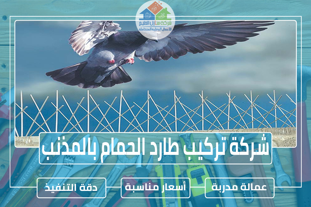 شركة تركيب طارد الحمام بالمذنب