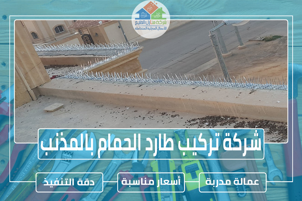 شركة تركيب طارد الحمام بالمذنب