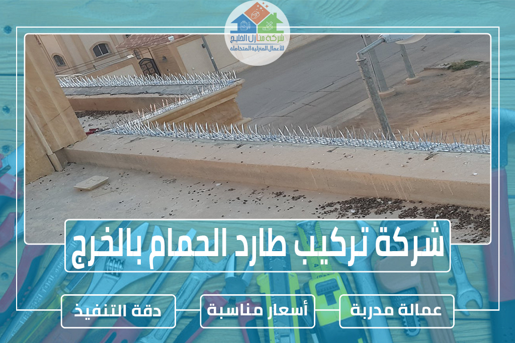 شركة تركيب طارد الحمام بالخرج