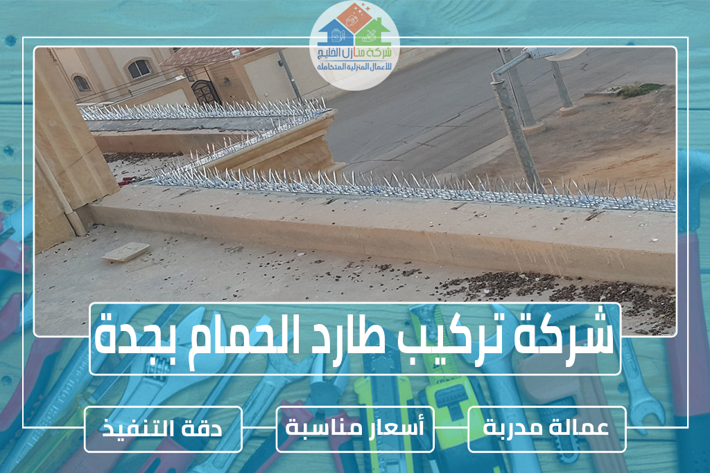 شركة تركيب طارد الحمام بجدة