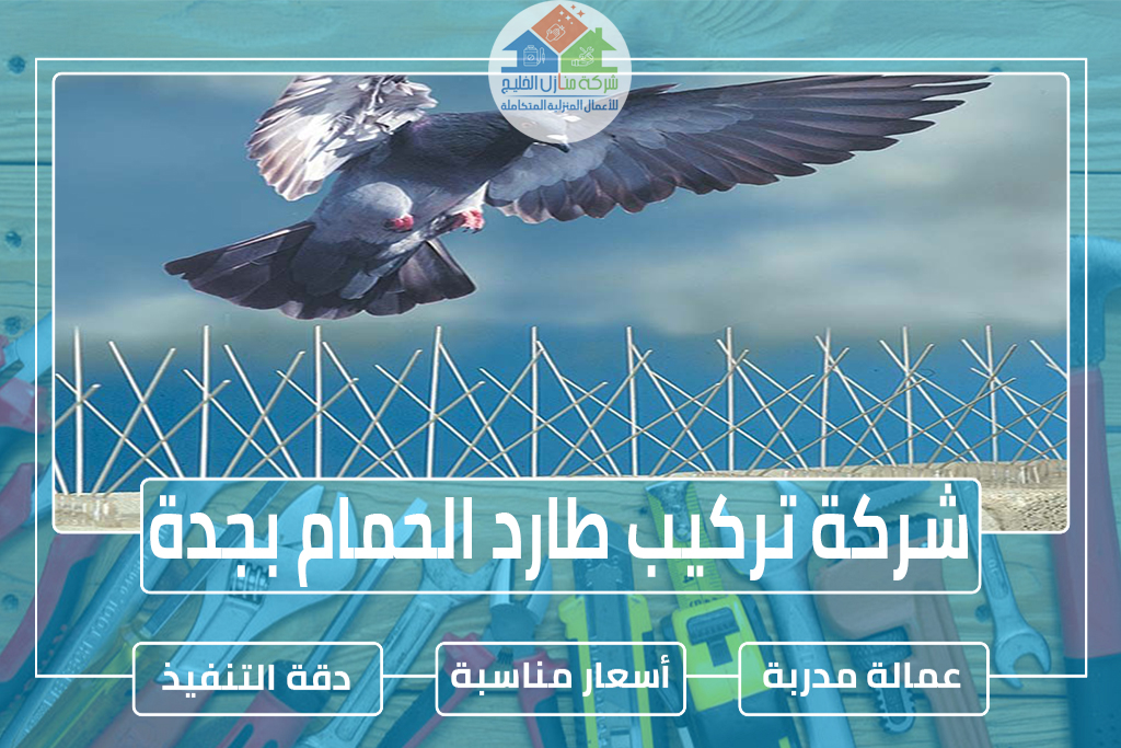 شركة تركيب طارد الحمام بجدة