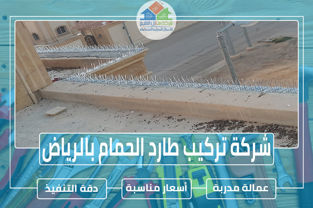 شركة تركيب طارد الحمام بالرياض