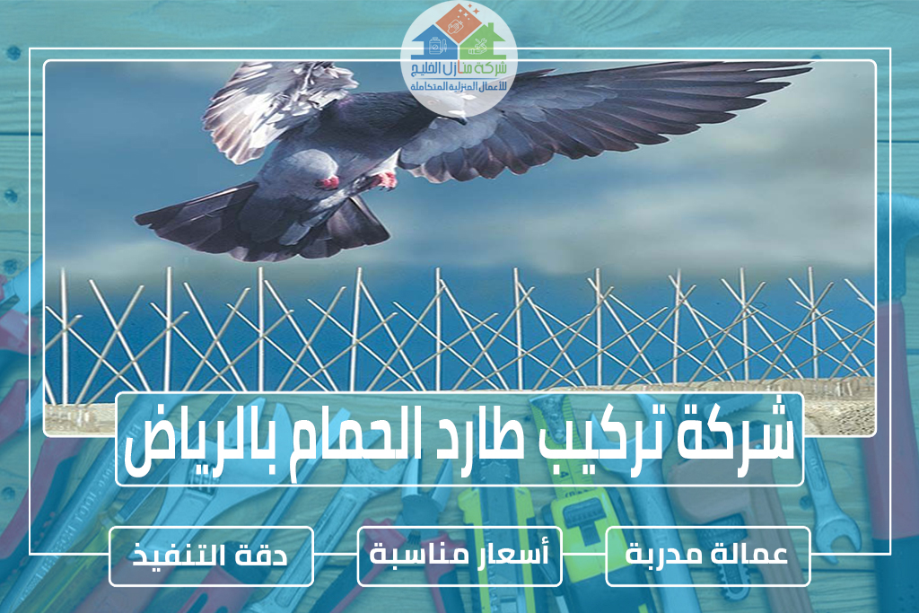 شركة تركيب طارد الحمام بالرياض