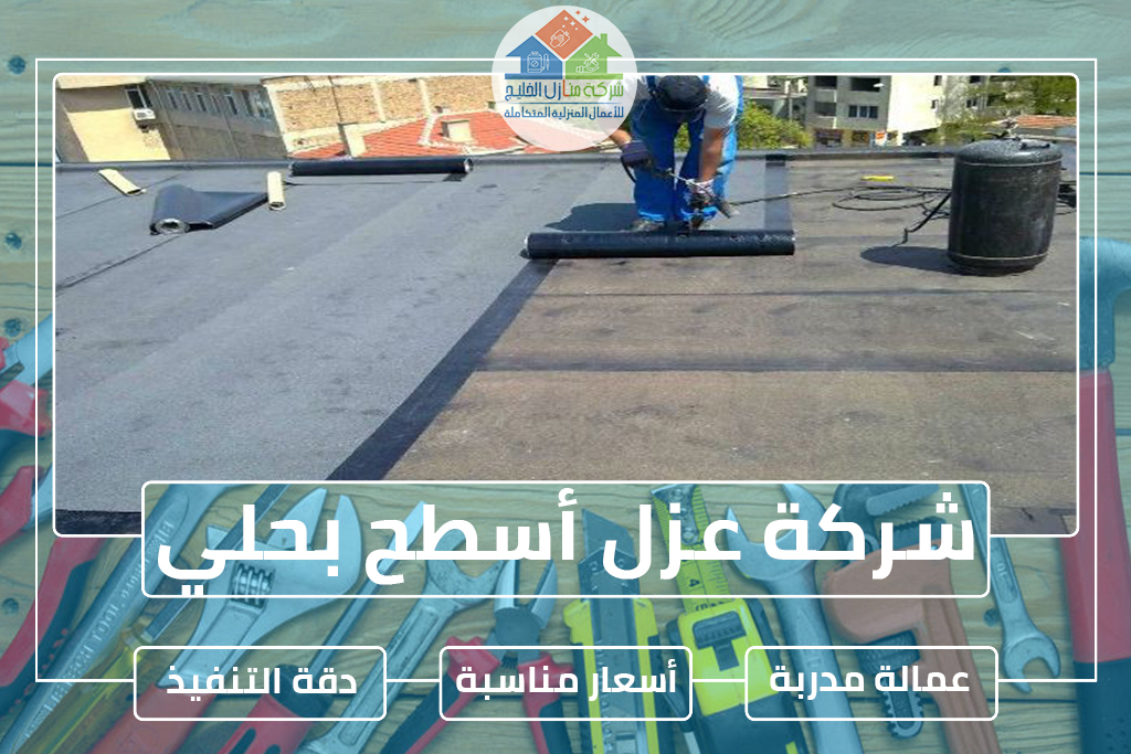 شركة عزل أسطح بحلي