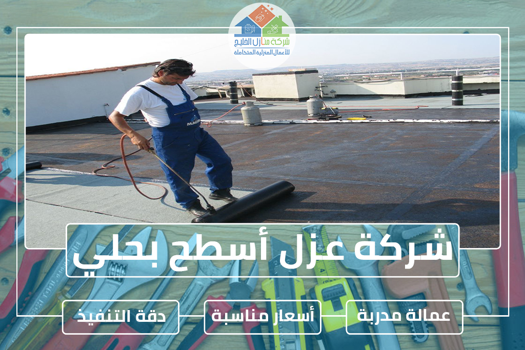 شركة عزل أسطح بحلي