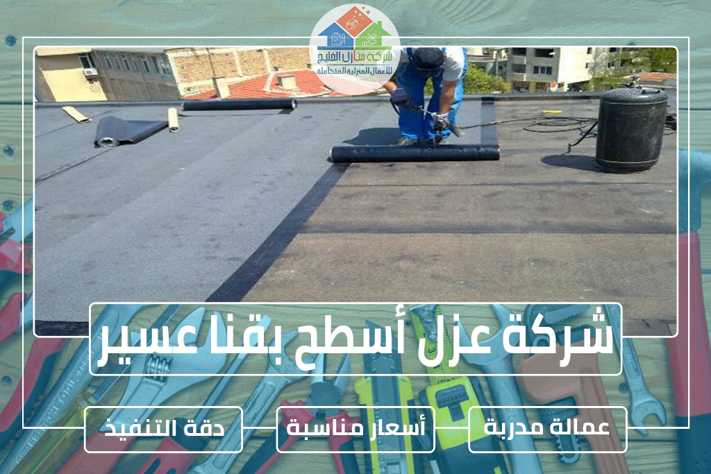 شركة عزل أسطح بقنا عسير
