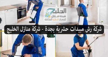 مكافحة حشرات بجدة