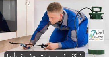 رش مبيدات حشرية