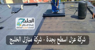 شركة عزل اسطح