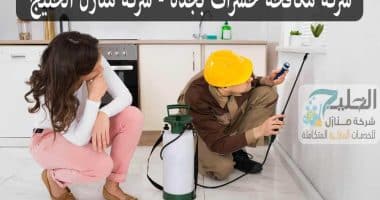 مكافحة حشرات بجدة