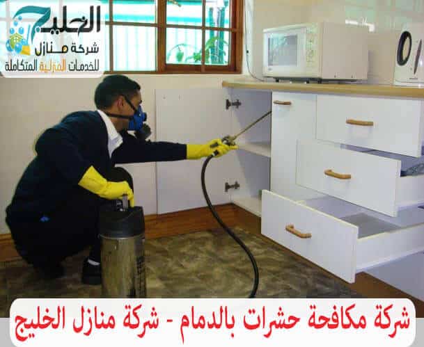 شركة مكافحة حشرات بالدمام ورش مبيدات