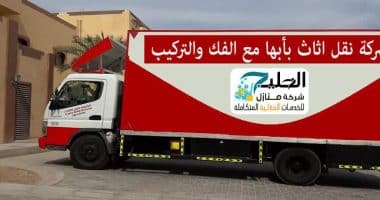شركة نقل اثاث بابها